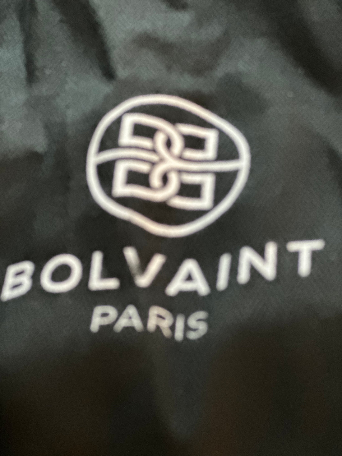 Bolvaint handbag